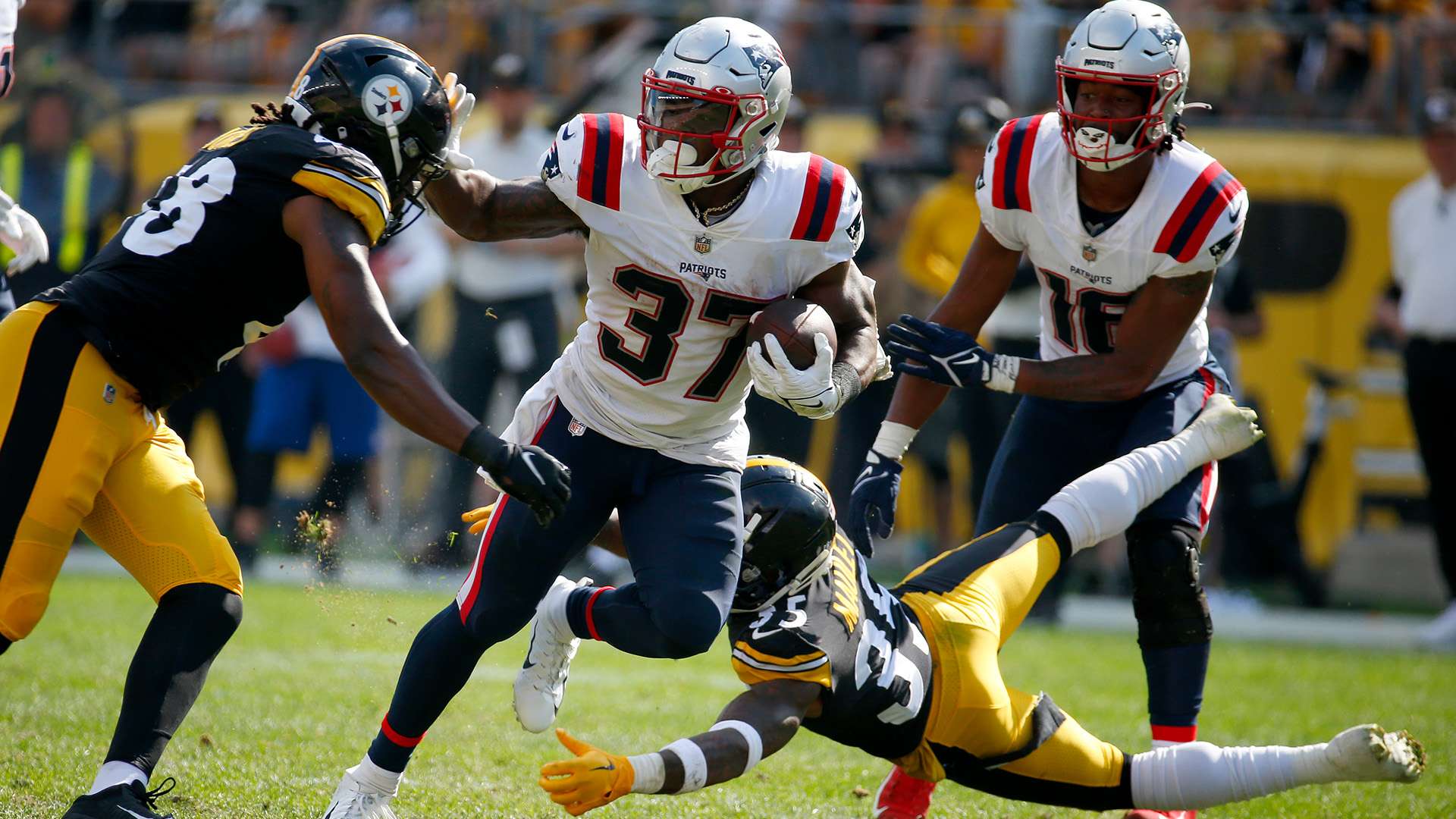 挥自身优势 挥自身优势